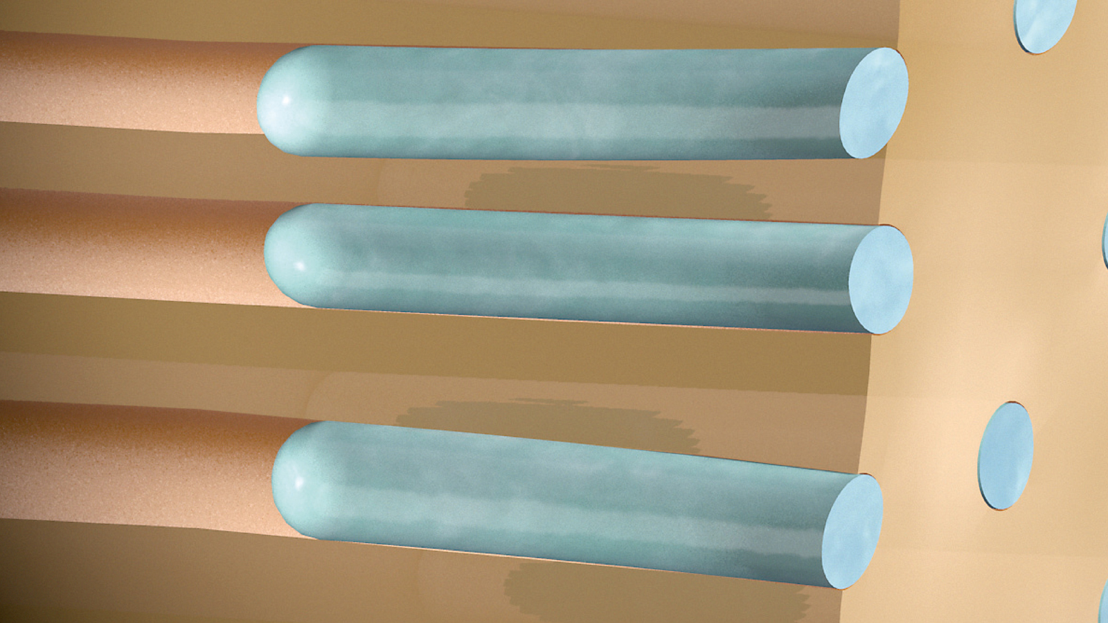 Schematic representation of effect